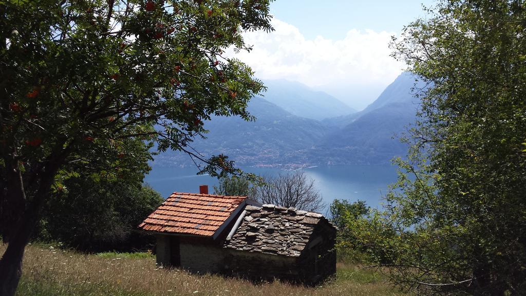 Lake Como View Apartement Allegro Acquaseria Bilik gambar